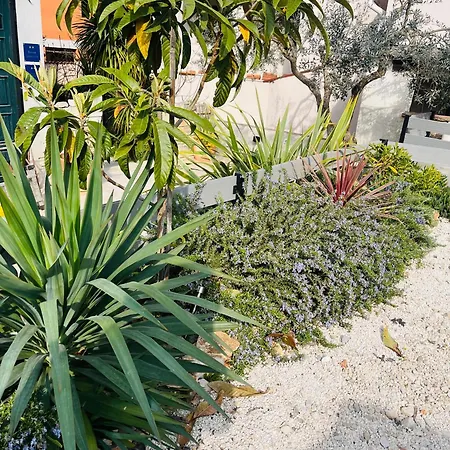 Appartamento I Smrikve Pola