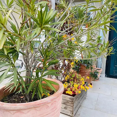 I Smrikve 아파트 풀라