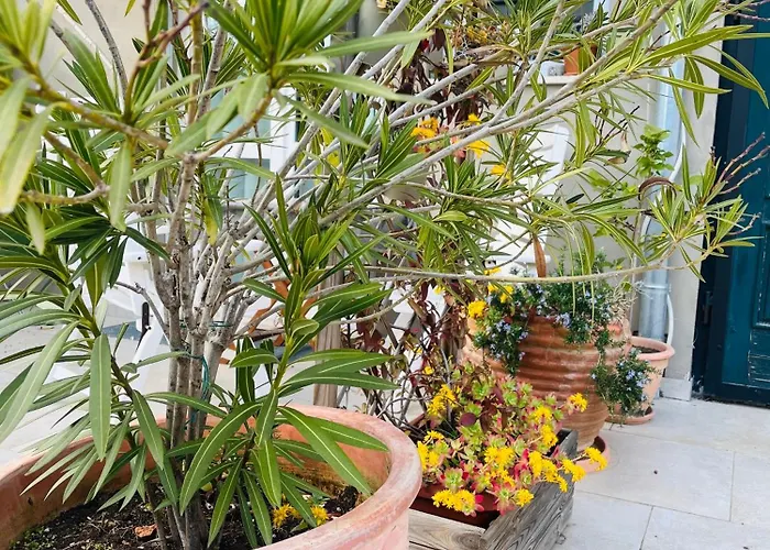 I Smrikve 아파트 풀라