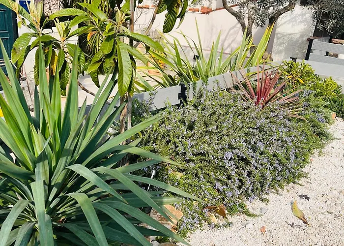 아파트 I Smrikve 풀라